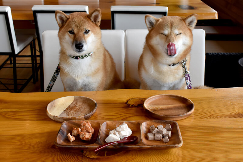 ドッグカフェ
